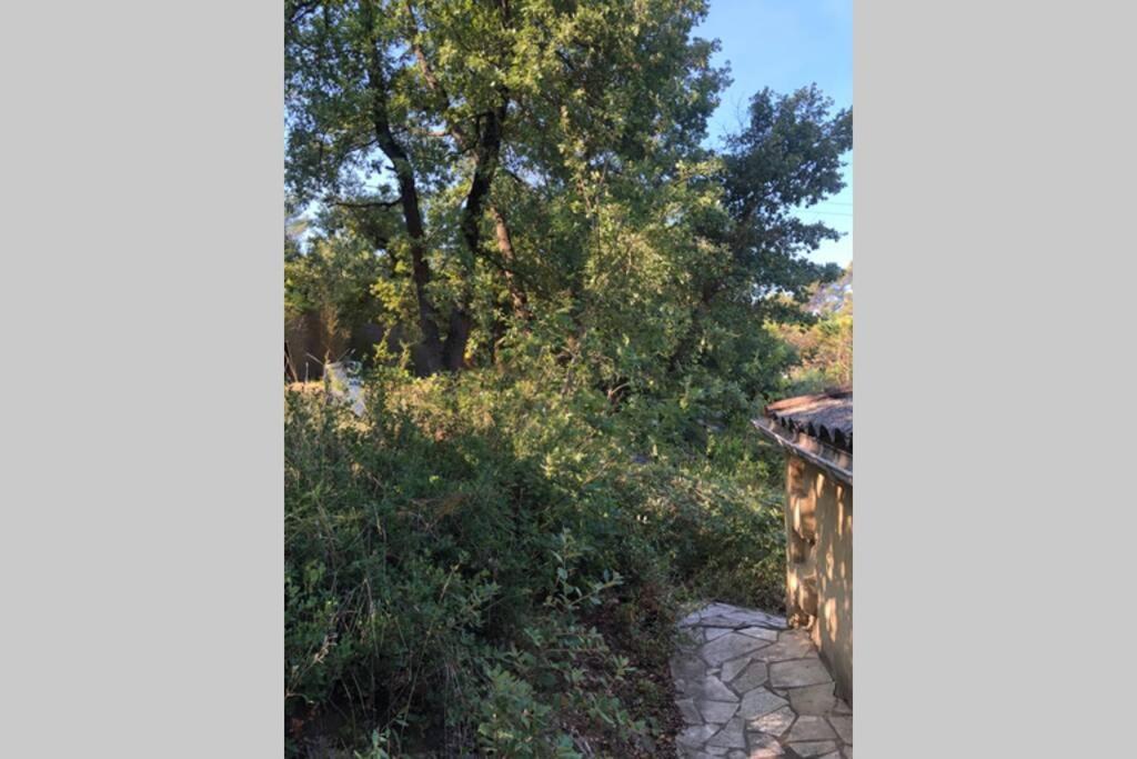 L'Escapade. Entre Aix Et Marseille, Studio Pleine Nature. Fuveau Ngoại thất bức ảnh
